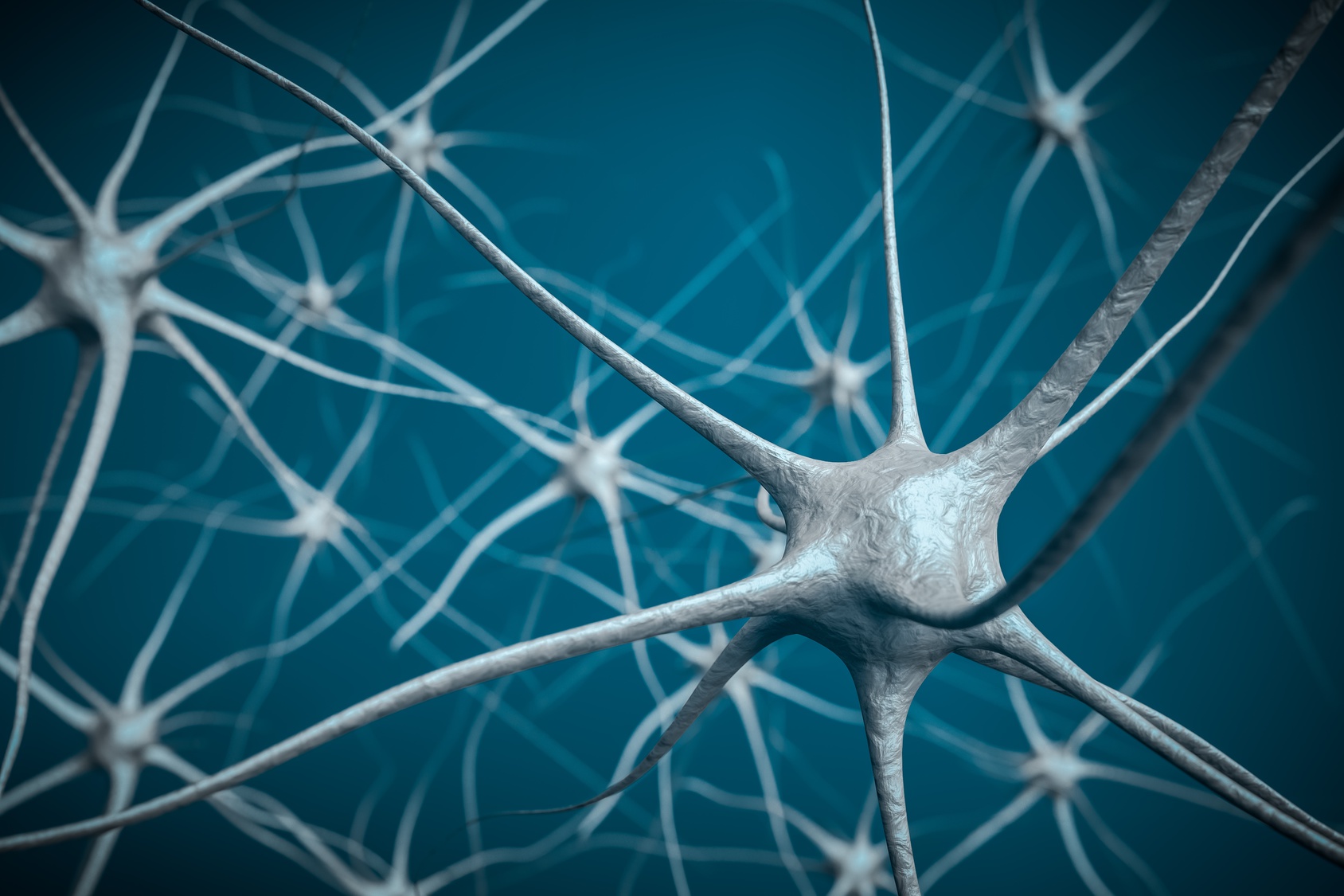 Neurogenesis - The building of the Brain - Gooeybrains