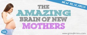 Heading for the blog post the amazing brain of new mothers