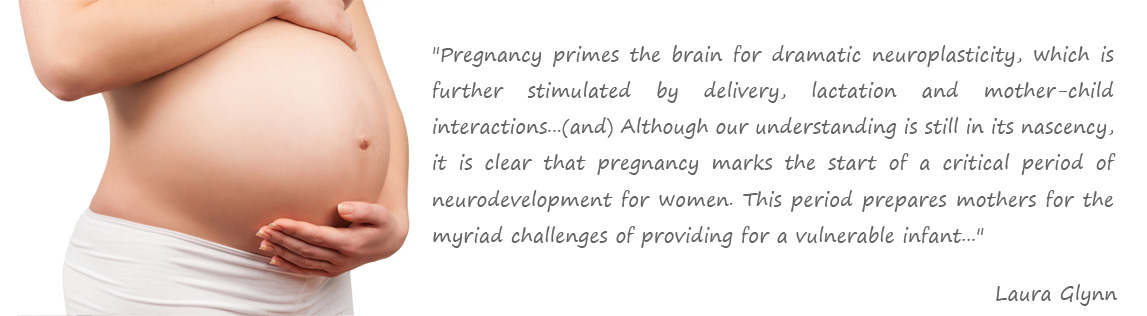 Quote on the brain of mothers during pregnancy by Laura Glynn