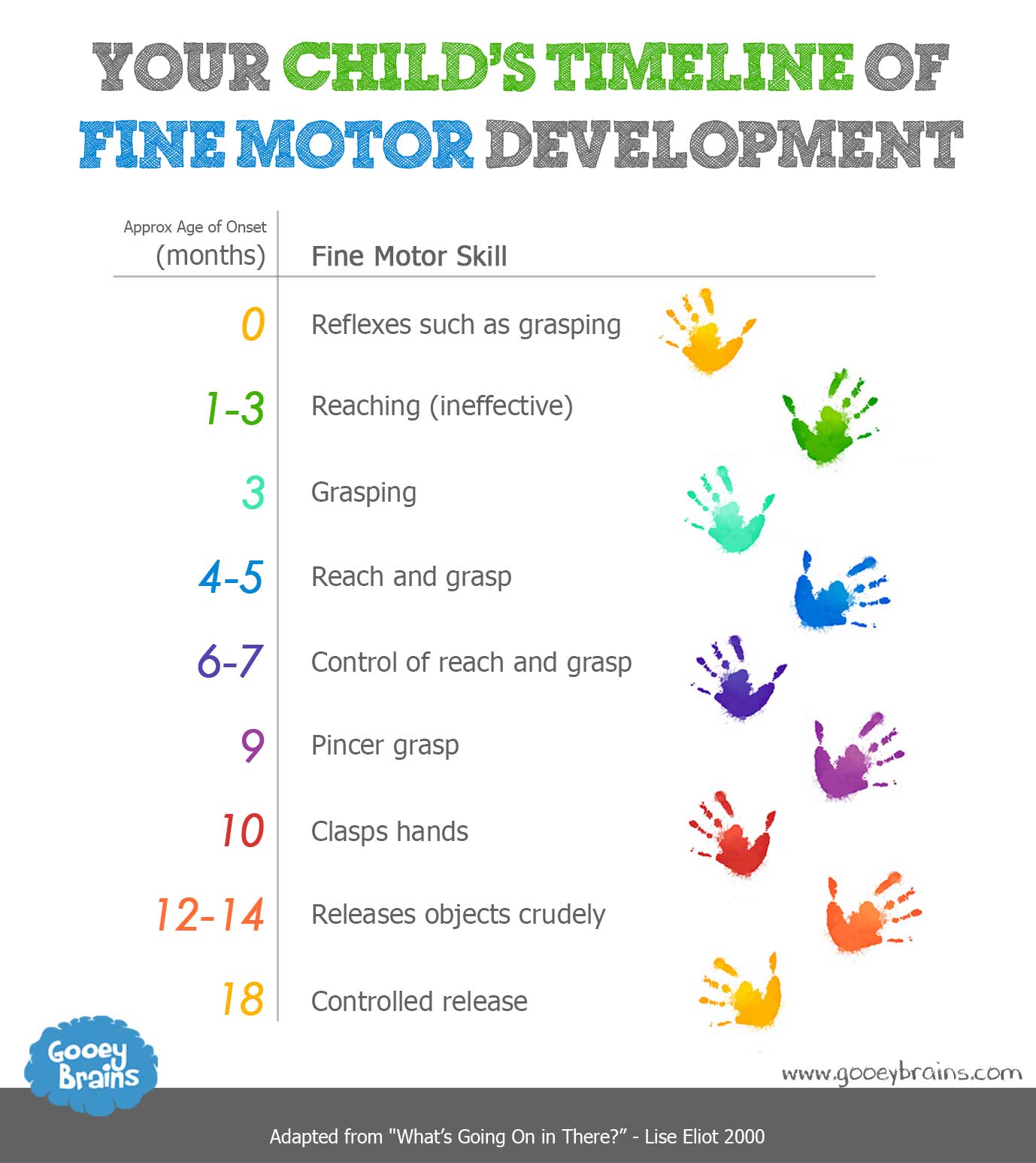 What Are The Stages Of Fine Motor Development