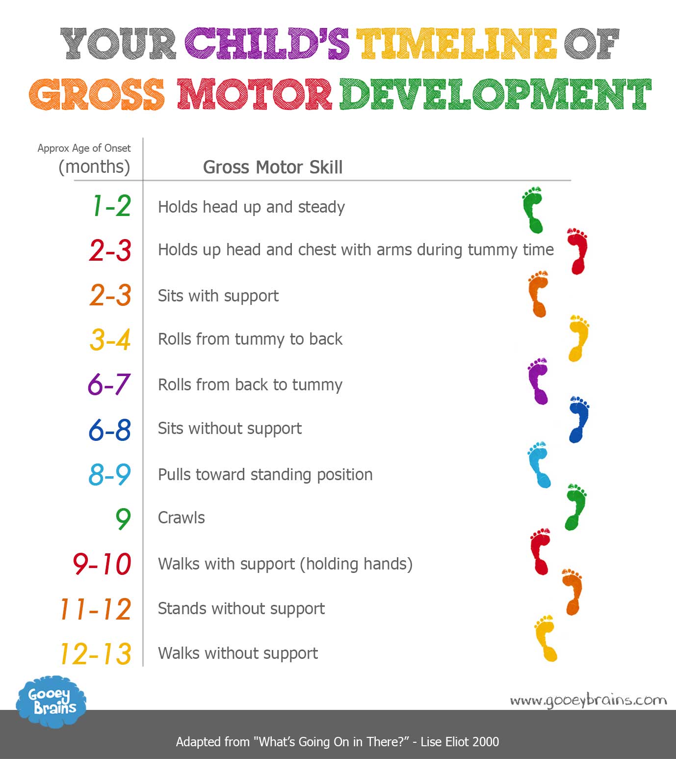 Gross Motor Development Milestones Chart