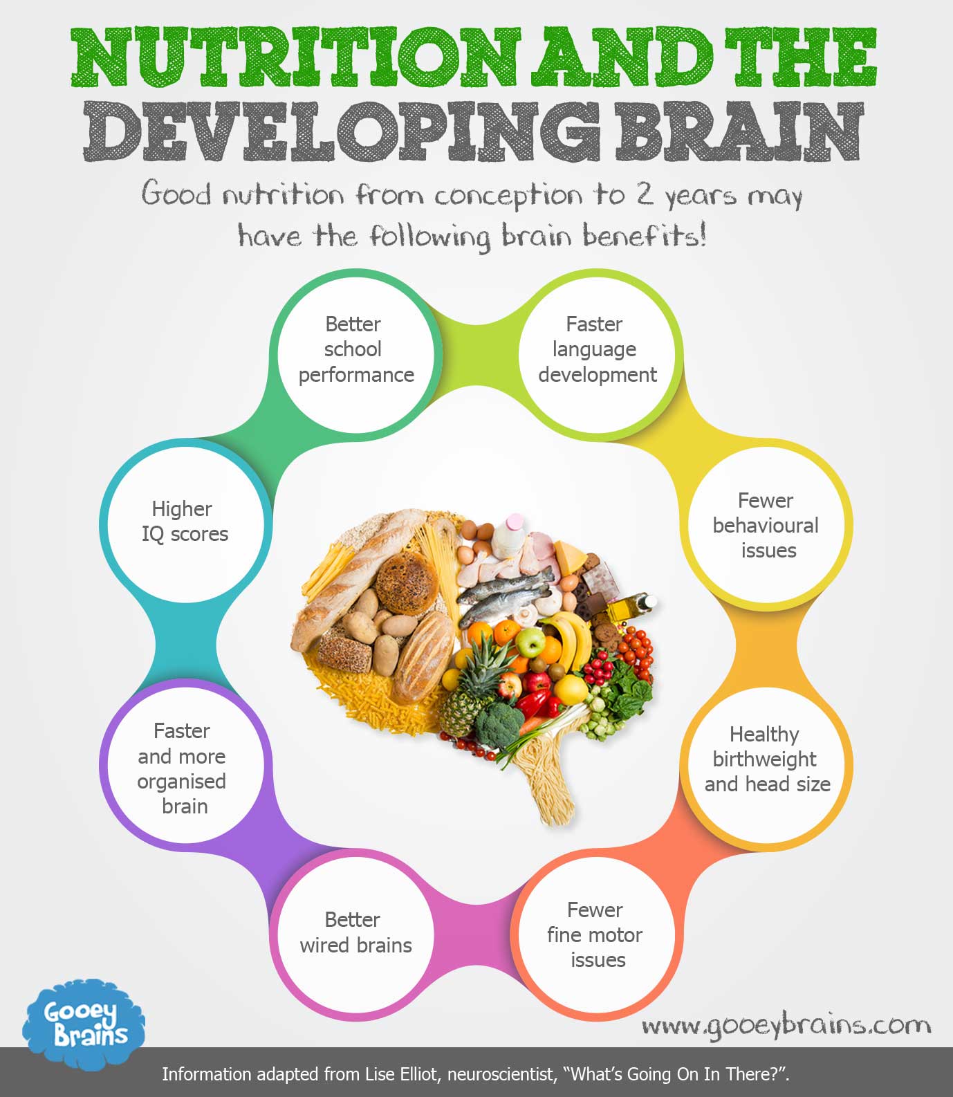 Nutrition And The Developing Brain Gooeybrains