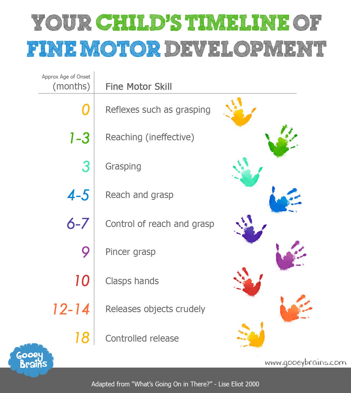 What are 5 fine motor skills?