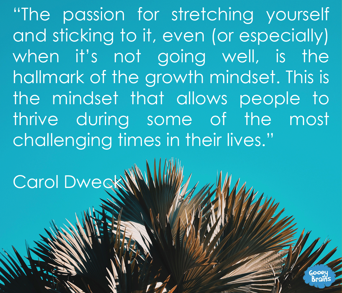 Carol Dweck Quotes